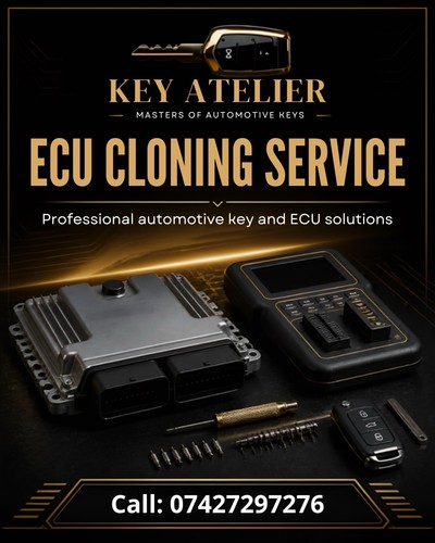 Ecu cloning service all - all, makes