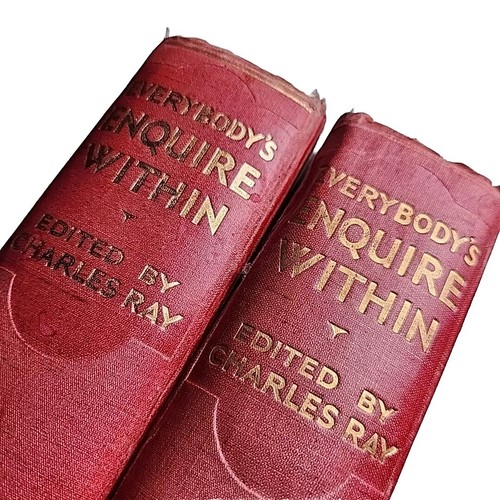 Everybodys enquire within - 2x,